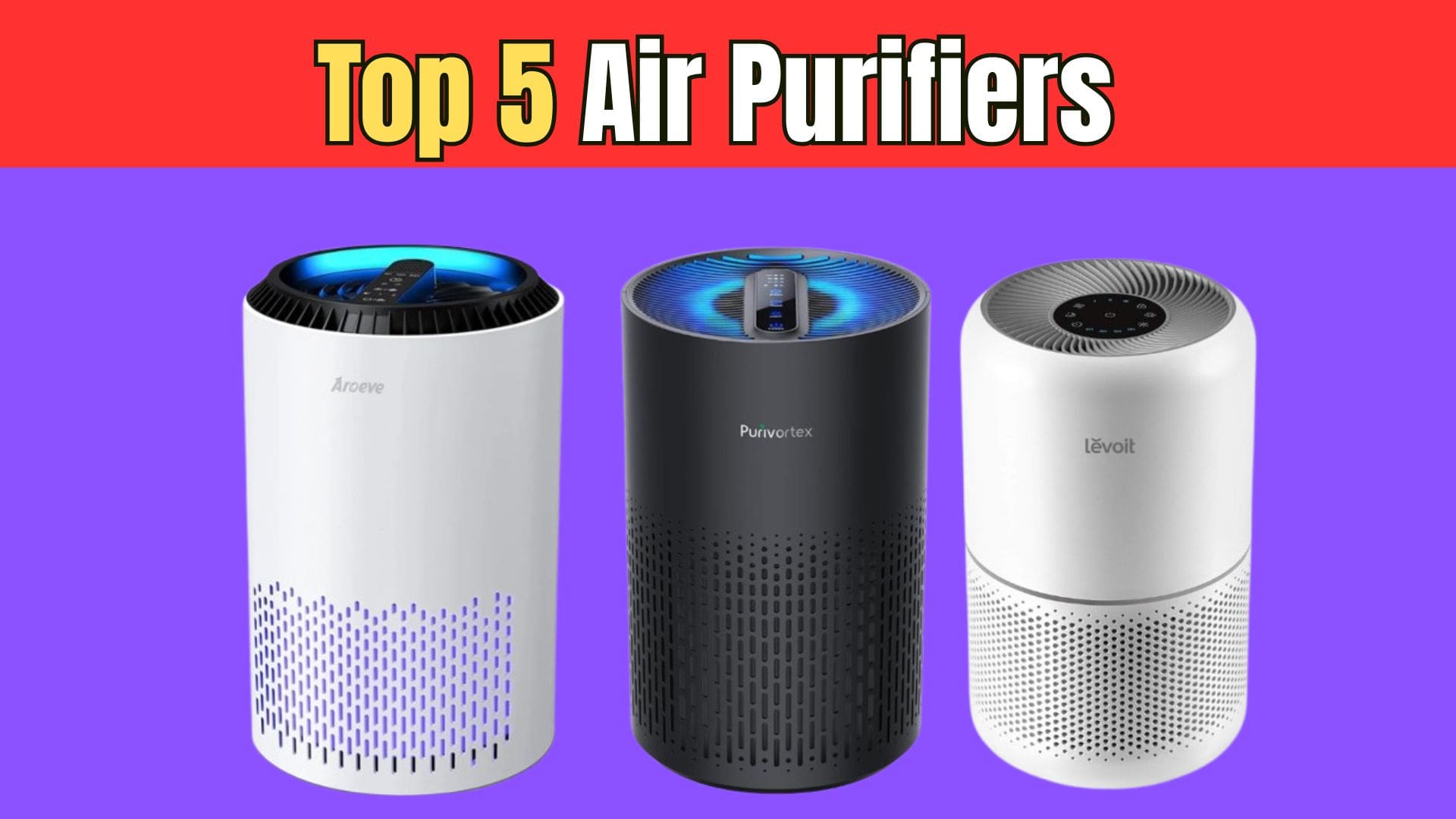 Best Air Purifiers for Allergies and Pets