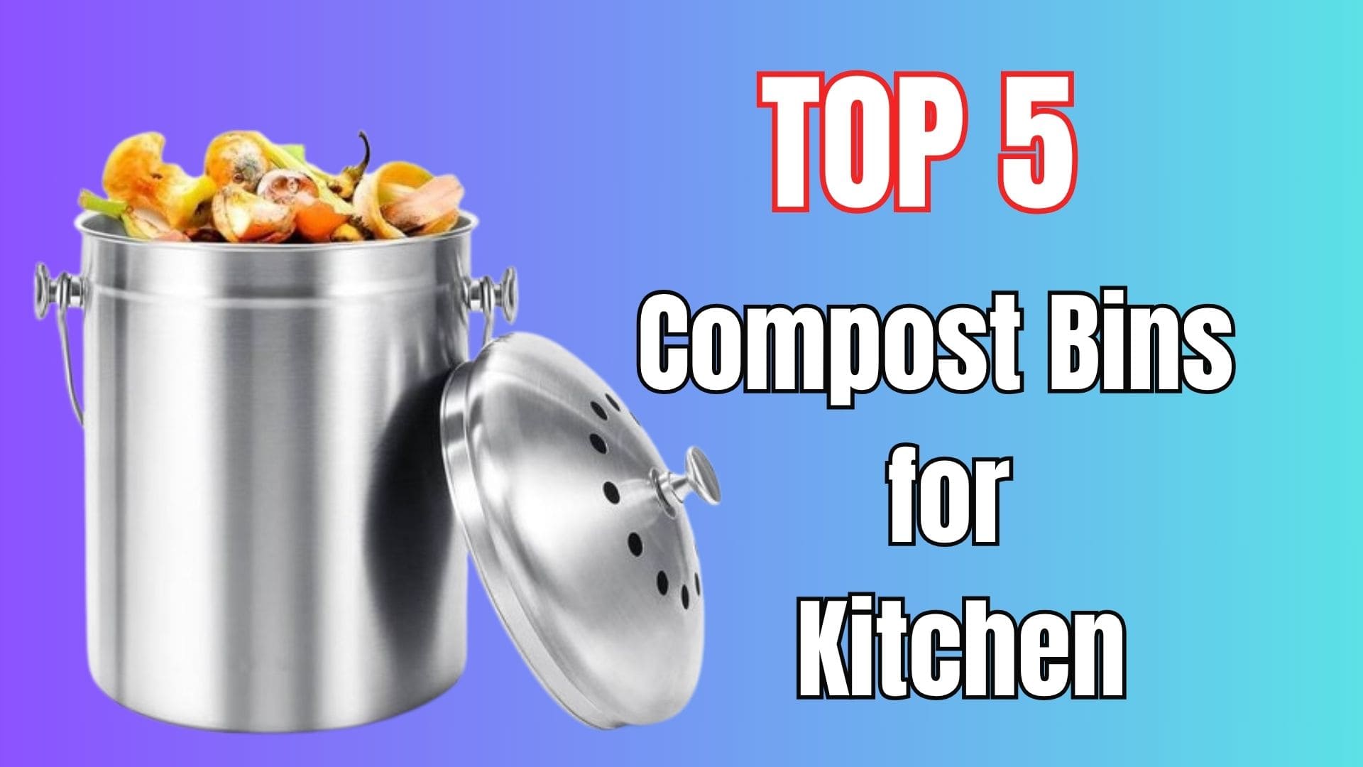 Best Compost Bins for Kitchen